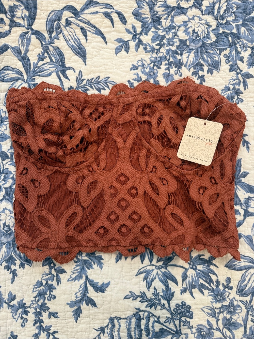 Free People Intimately Lace Bandeau Bralette in Rust